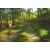 DVD ARDENNES MTB RIDE