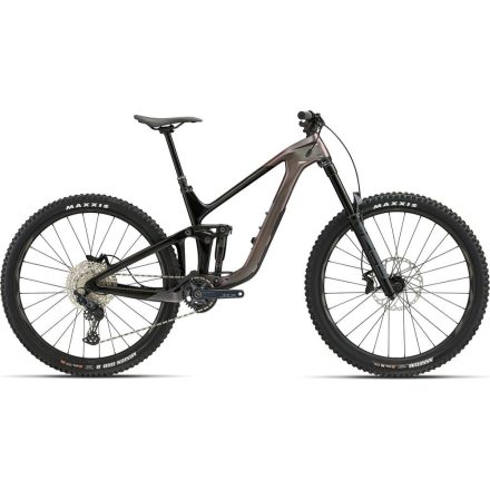 GIANT REIGN ADVANCED PRO 2