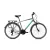 Capriolo Roadster Man 1.0 férfi trekking kerékpár 20" szürke