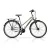CROSS CITERRA LADY 52cm 7 seb. SH agyváltó